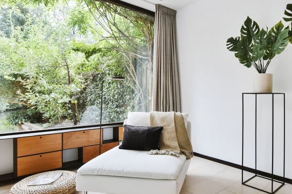 Bright, well-styled living room with leather sofa, plants, and warm lighting