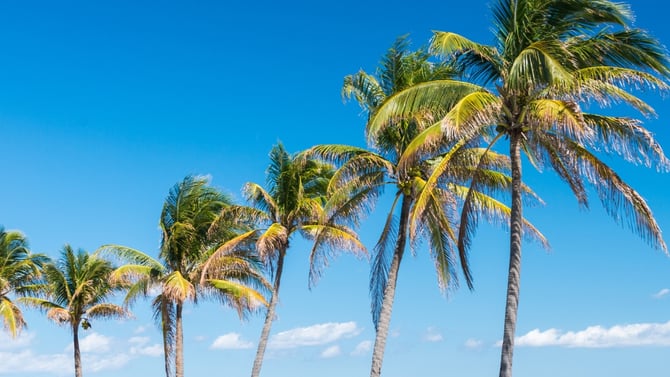 Forgotten Coast Property Management